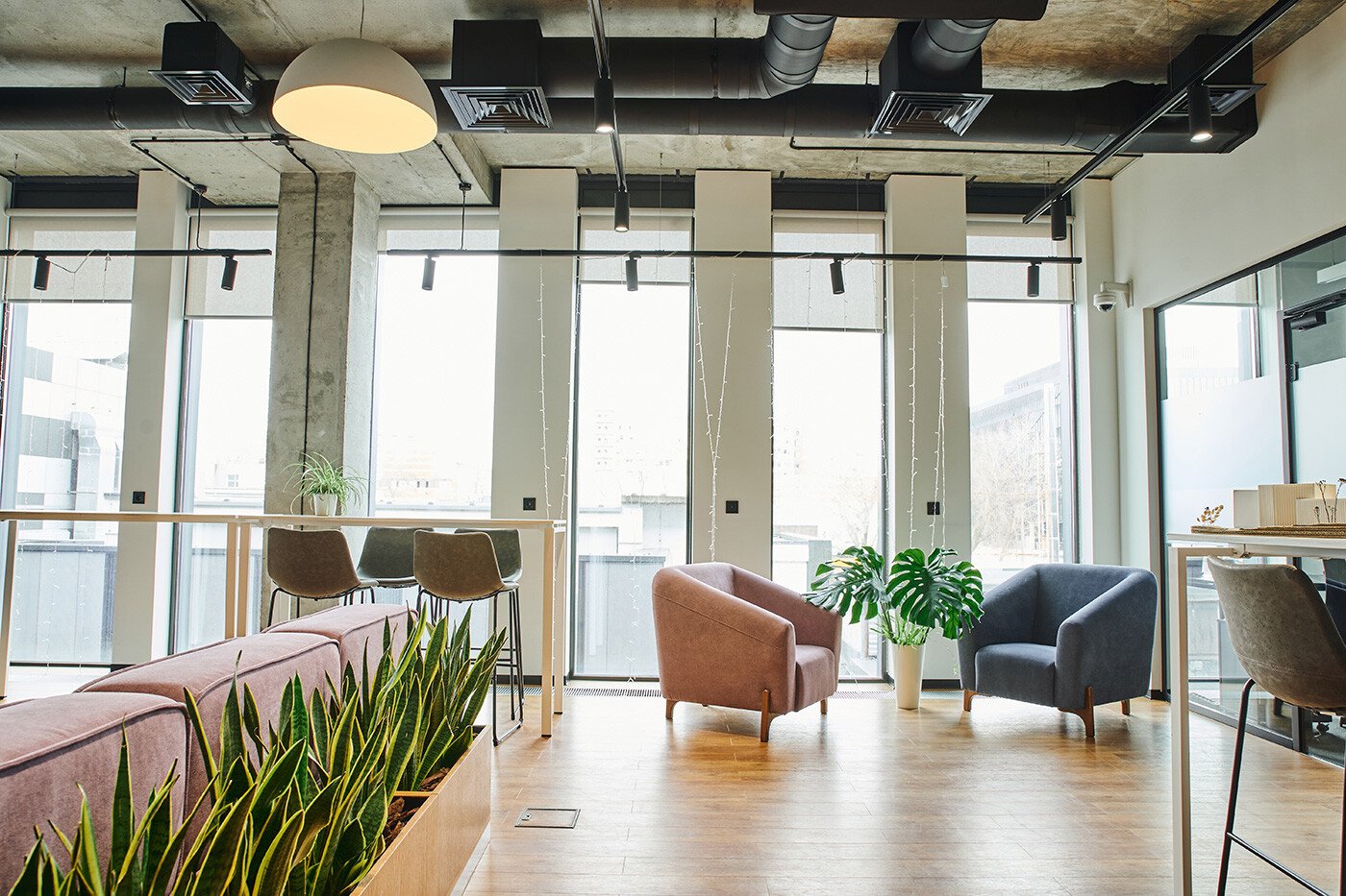 light-filled office with plants and furniture