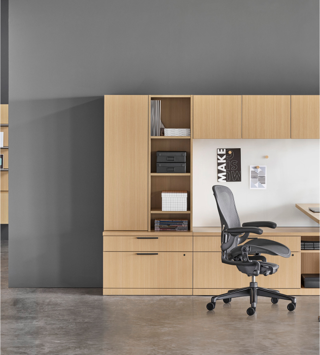 HERMAN-MILLER-CANVAS-ad